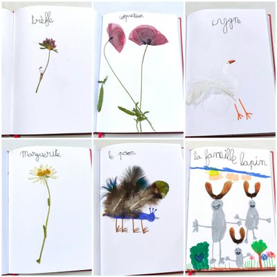 Notre herbier nature en fleurs et en plumes