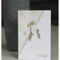 Cartes Little Scrap Nov 2019