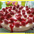 CHEESECAKE AUX FRAMBOISES ET CHOCOLAT BLANC