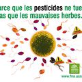 Les Français ont plus de pesticides agricoles dans le sang que les Américains et les Allemands