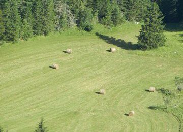 Randonnée Vercors Quatre Montagnes (Plateau de Cornafion)