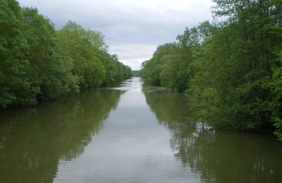 Dans le marais