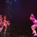 fête lilloise du cirque