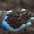 Une idée vraiment écologique : Moulinot compost