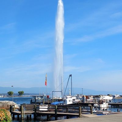 SUISSE - Genève, jardin botanic