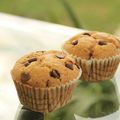 Muffin chataigne chocolat sans gluten