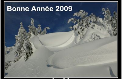 Nouveau Blog année 2009