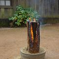 Bûche de Noël au PUY DU FOU 