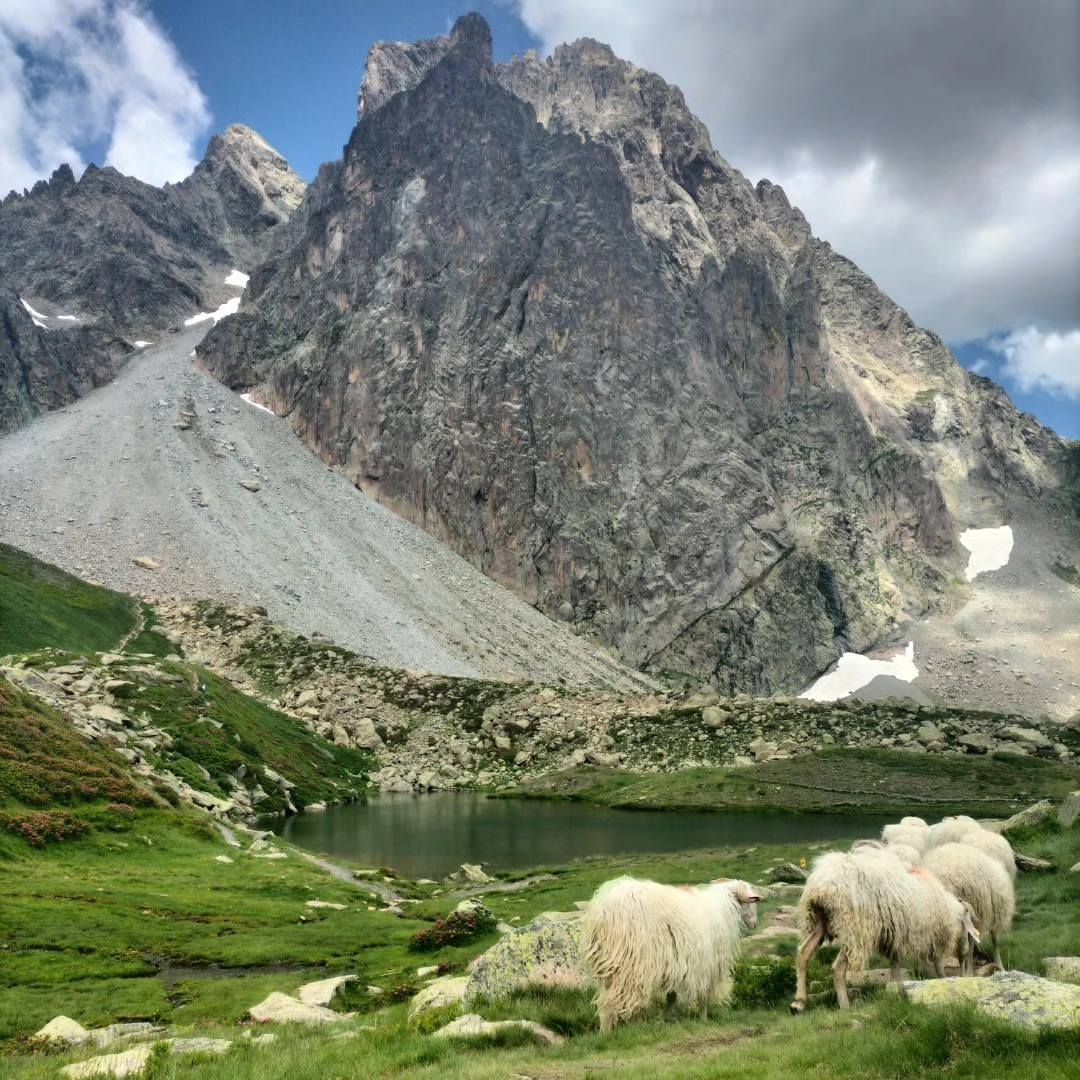 Refuge de Pombie, lac et brebis, insta (64)