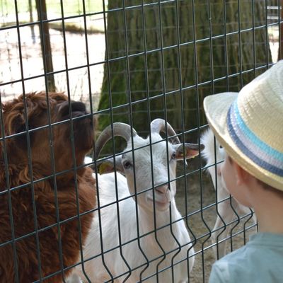 Jeu Photo 2025 : 49 / 52