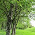 Une balade en toute intimité