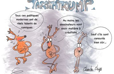 Profession comique