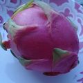 PITAYA... UNE DECOUVERTE 