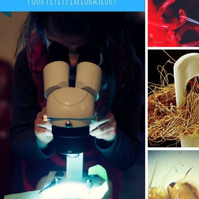 Vrai microscope ou loupe binoculaire pour les enfants