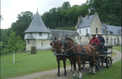 Coucou d'un meneur de la région...