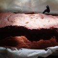 Cake au chocolat noir fondant de Sophie Dudemaine