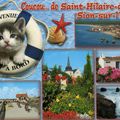 coucou..de saint hilaire de Riez-Sion sur l'Ocean