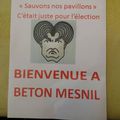 Blanc-Mesnil: la droite extrême veut-elle livrer à béton-Mesnil le patrimoine pavillonnaire et arboré du square Louis Kotas