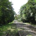 Les voies désaffectées de la petite ceinture