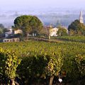 Graves et Sauternes unis sur la première Route des vins de Gironde