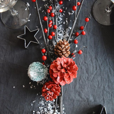 ETOILES ET AUBEPINE POUR UN NOEL ROUGE ET AUTHENTIQUE 