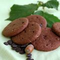 Biscuits hyperprotéinés chocolat noisettes