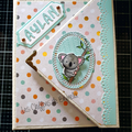 Album d'Aylan Petit Koala