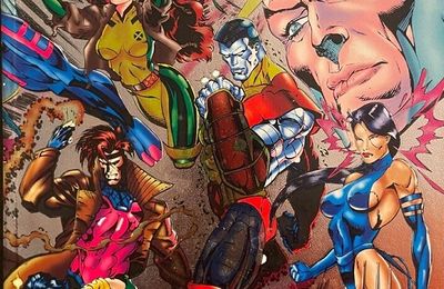 Panini Marvel : X-Men V1