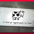 Vache de Vie...