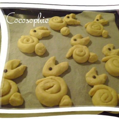 des brioches ou des lapins ?