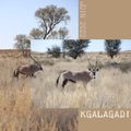 envoûtant kgalagadi #2