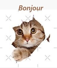 Les malheurs de Zélie