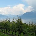 Panoramas sur le Lac Léman