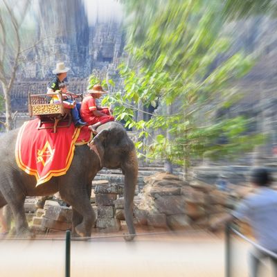 Cambodge Angkor Vat