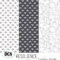 A4 DCS Résilience