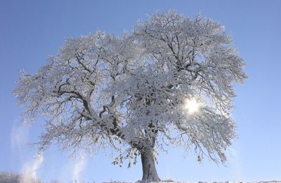 Un air de légereté