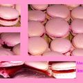 MACARON - RonRon