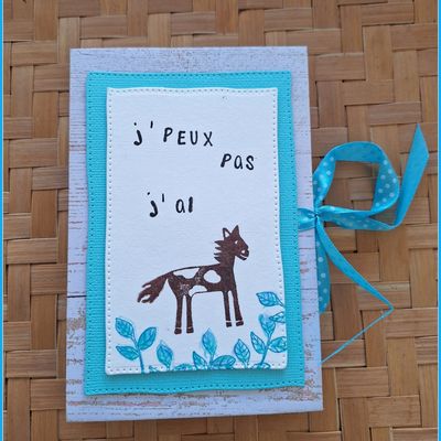 ini album " J'peux pas... j'ai poney ". 
