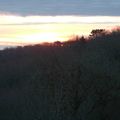 Petits matins transis ...