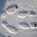 Nancy sous la neige et encore en 2009.