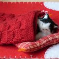 Cocooning du Mercredi