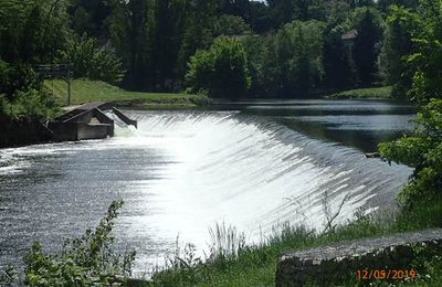 Balade au bord de l'Agout