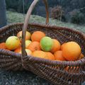 C'est la saison des oranges