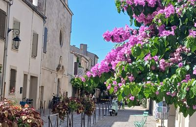 La Virée à Aigues-Mortes