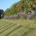 Laquenexy, côté jardin