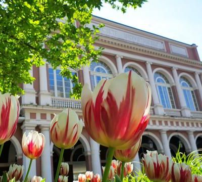 Mulhouse ambiance Noél - joyeuses fétes !
