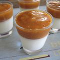 Panna cotta chocolat et coulis d'abricots