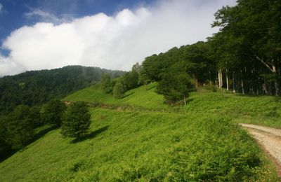 Cabane d'Ichéus (21.06.2009)