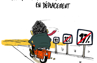 François Bayrou, les sondages de raison