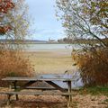 Lac du Der Chantecoq